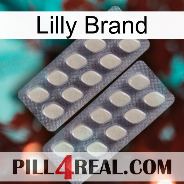 Lilly Brand 07.jpg